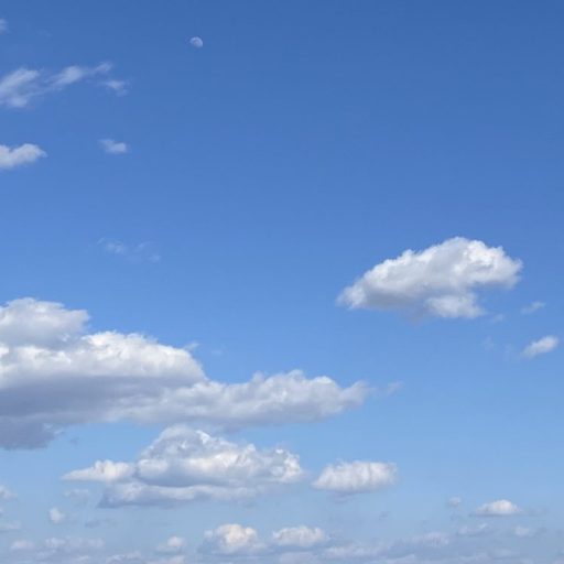 ANLAN｜スチーマーと洗顔どっちが先？週何回くらい？美顔器とスチーマーのどちらがいいの？